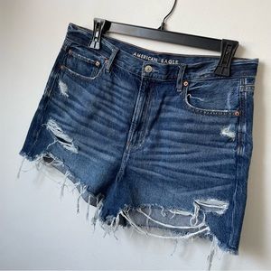 American Eagle Distressed 90s Boyfriend Shorts